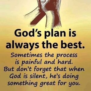 Meet your Posher, Rose ann